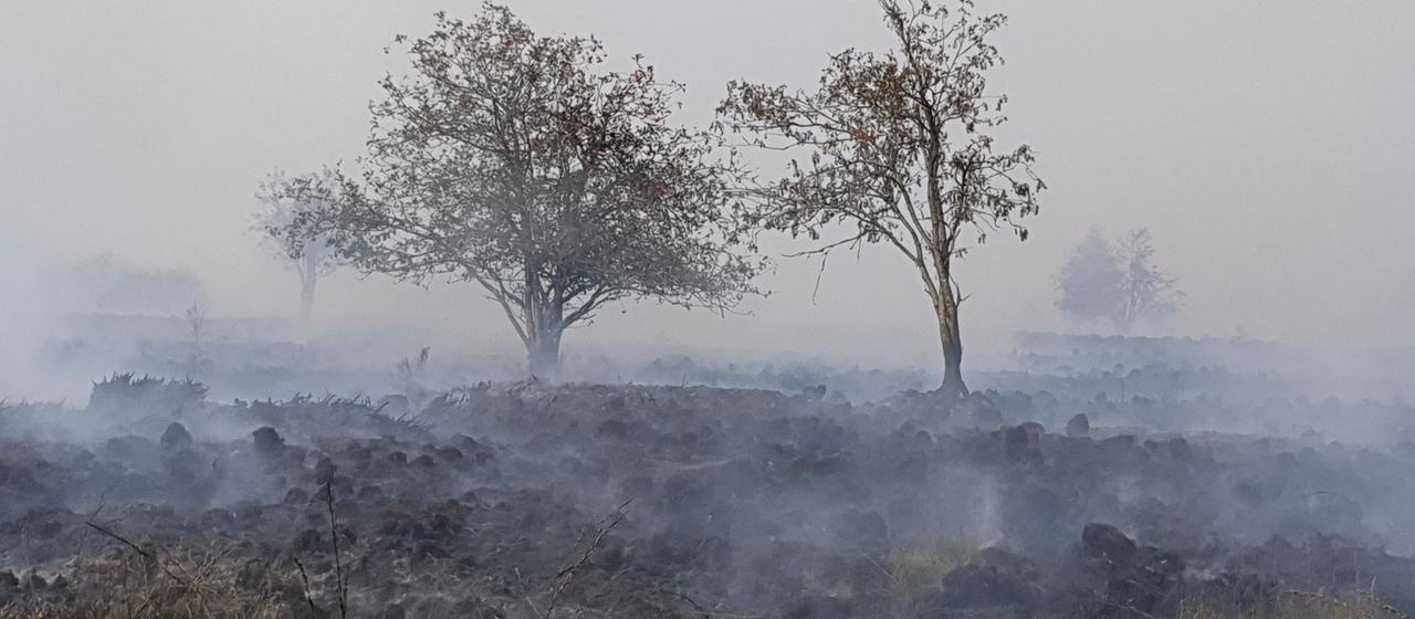 Waldbrand im Hohen Venn: Sorge in Grenzregion wegen Feuer in Belgien