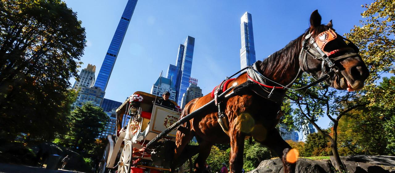 New York schafft Pferdekutschen im Central Park ab