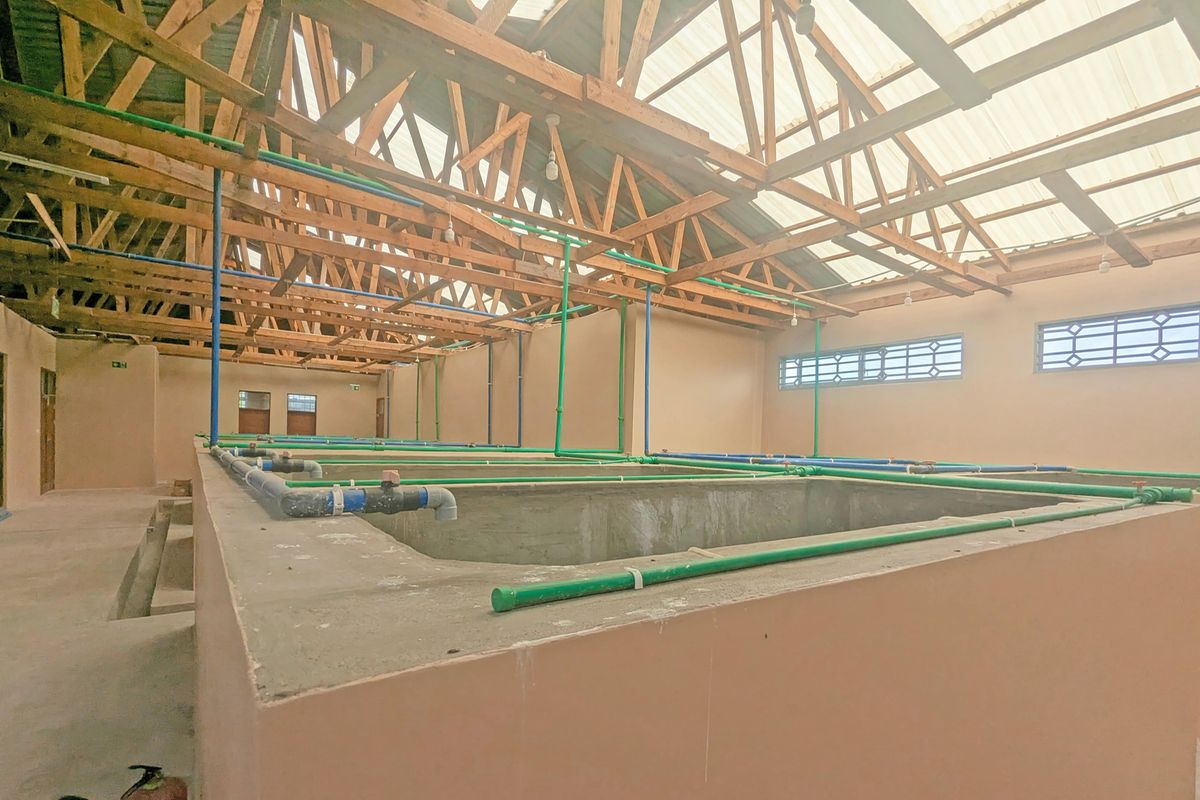 Fish project ‘not abandoned, affected by funding crunch’