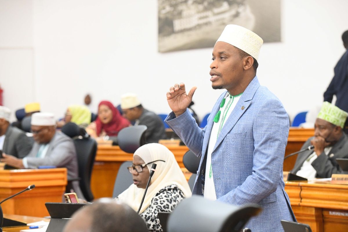 Zanzibar lawmakers propose masterplan to end land disputes