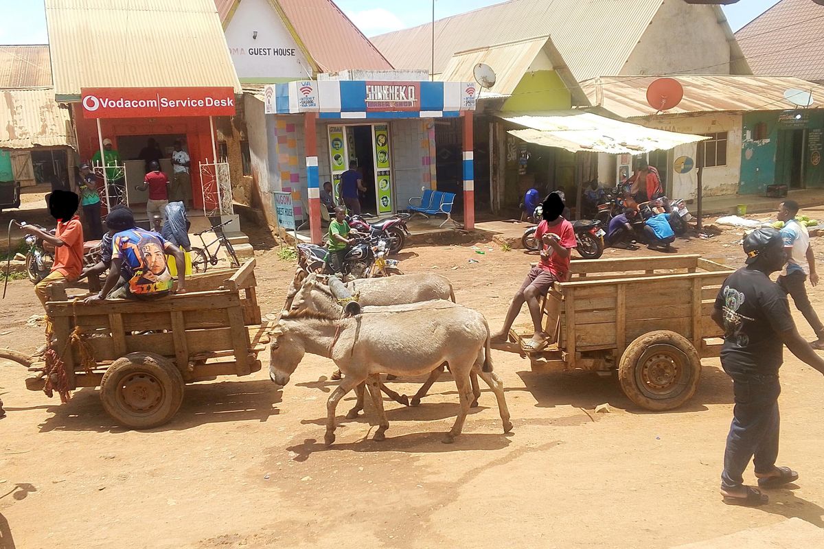 Childhood lost: Children forced into labour at small-scale mines
