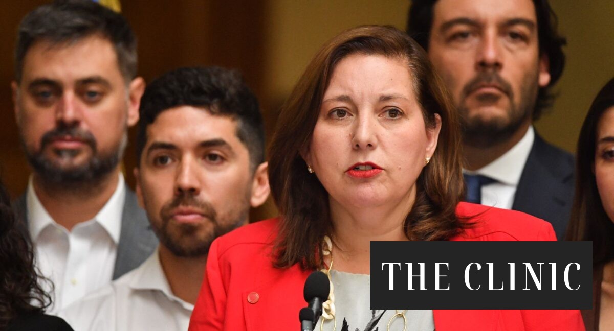 Behind the scenes of the PS deputies' rebellion that once again jeopardized Paulina Vodanovic's leadership
