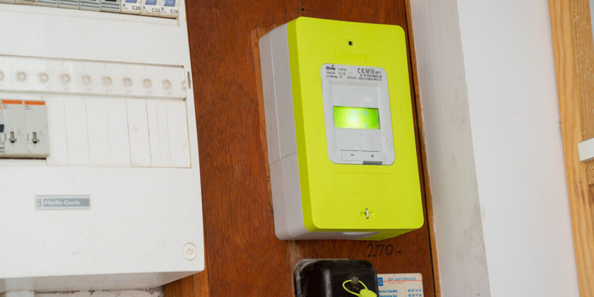 Man sent to prison over linky fraud a first in france