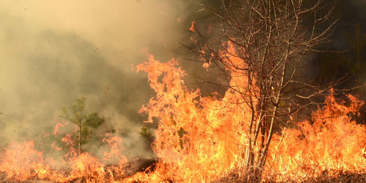 Thousands more evacuated as wildfires spread across southern france