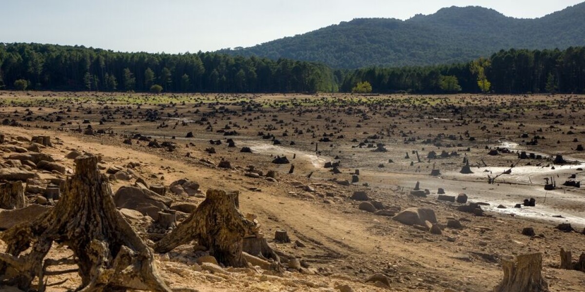 Heatwaves fires drought how serious is frances water crisis