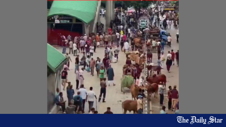 Cattle market near Uttara metro station: DNCC to assess damage