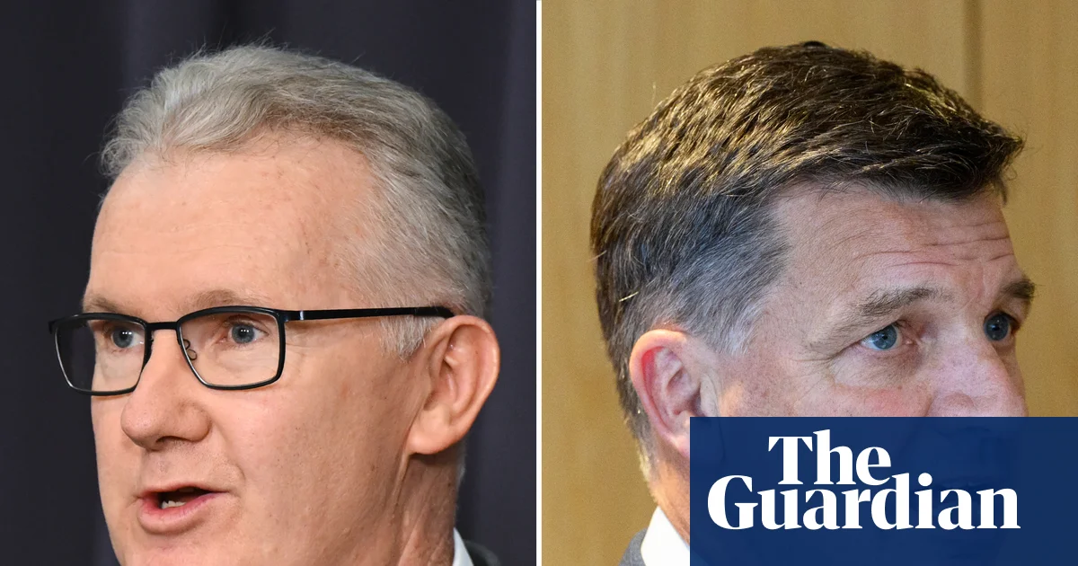 Labor lashes Coalition immigration plan as Usman Khawaja calls policy ‘appalling’