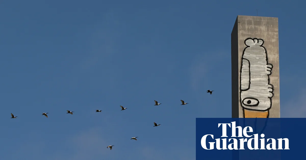 ‘Pam the Bird’ has become a divisive fixture on Melbourne landmarks – but is it art or vandalism?