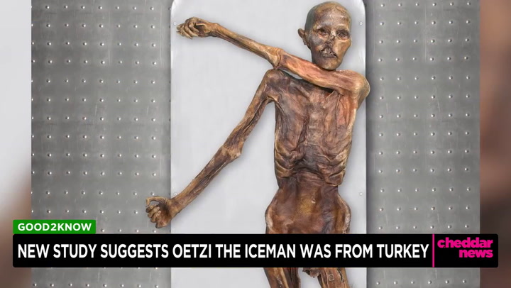 Ötzi the Iceman’s microbiome is still alive, scientists find