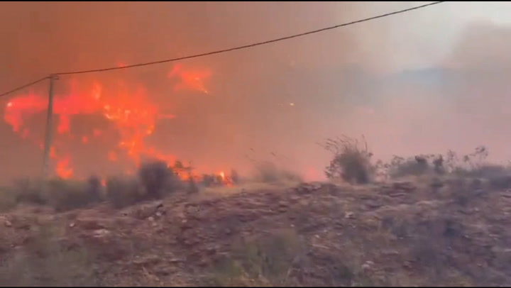 Spain wildfire victim-blaming masks years of mismanagement, report finds