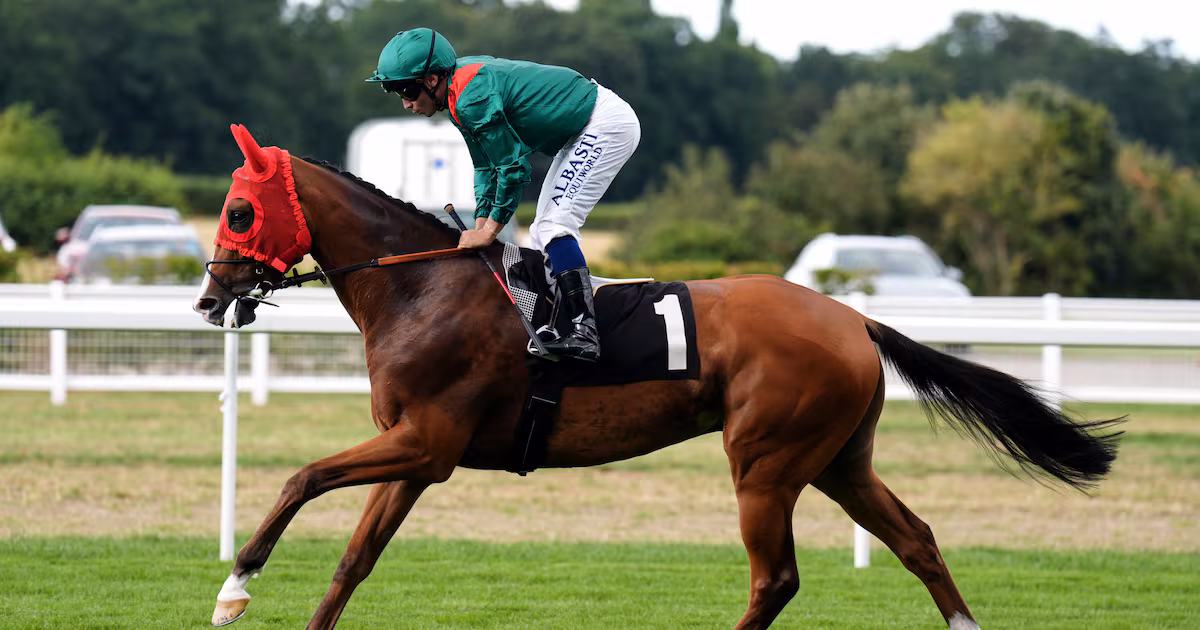 Best horse in the world Calandagan gets green light to travel to Dubai World Cup