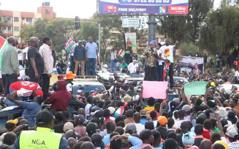 Linda Mwananchi leaders court Kalonzo in Machakos tour