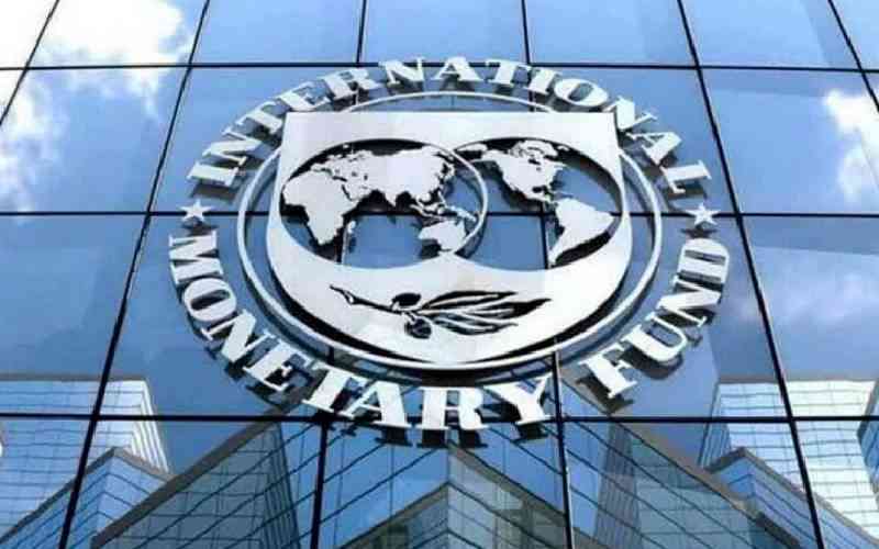 IMF struck out of Kenya's Sh7 trillion 'Odious debt' case, granted immunity