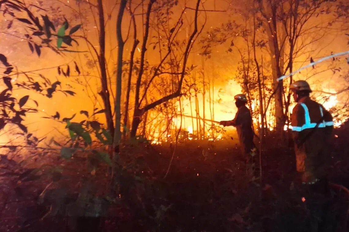 Haze threat looms as Indonesia battles early forest fires ahead of El Nino