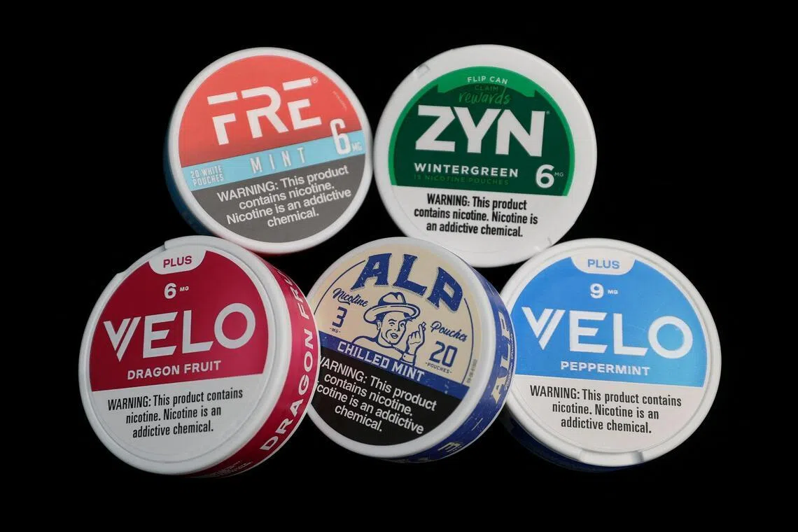US nicotine pouch fast-track scheme slowed by worries over youth, new users