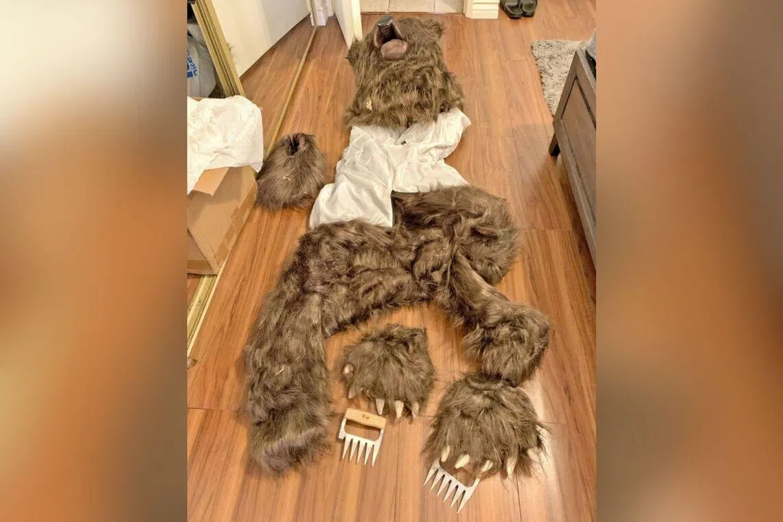 3 people in US who used a bear suit to defraud car insurers are sentenced to jail