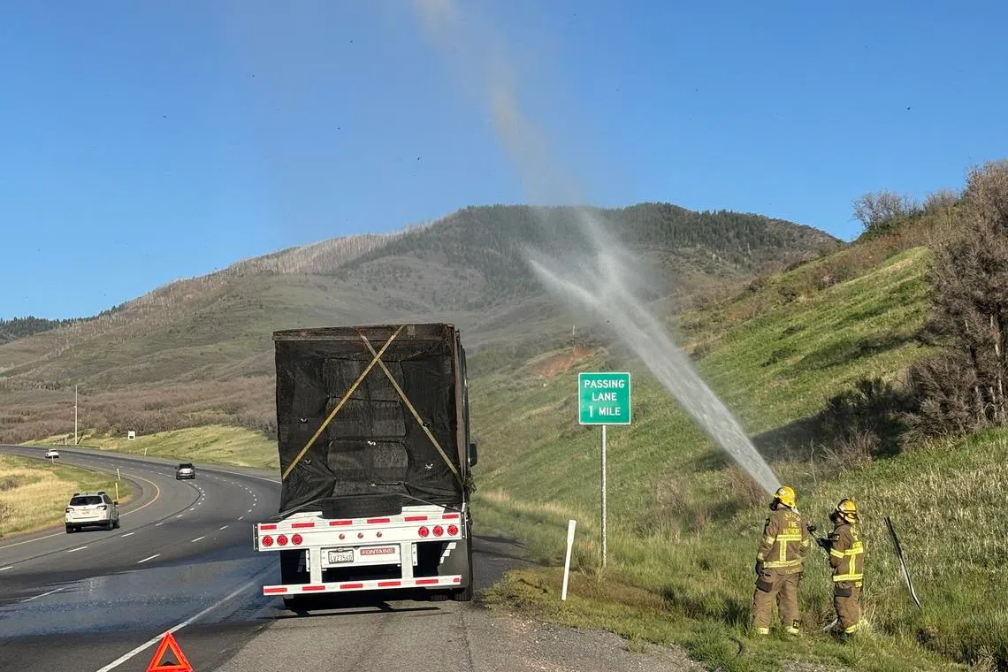 US firefighters rescue 25 million bees in broken-down truck amid high heat