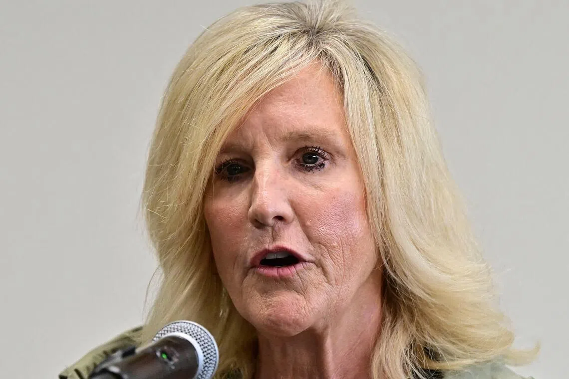 Activist Erin Brockovich takes on US Big Tech’s data centre boom