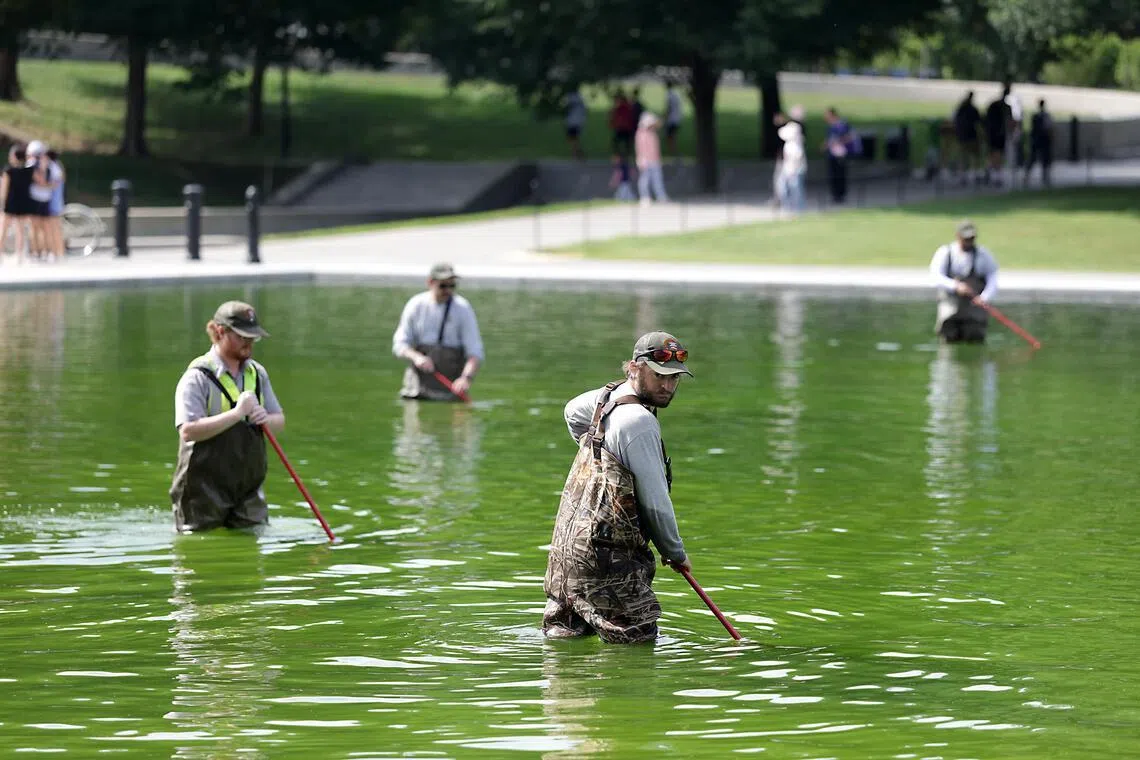 Trump, blaming alleged vandals, says Washington Reflecting Pool needs repairs