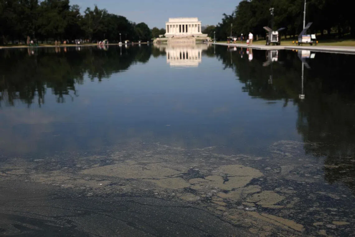 Trump says he will repair National Mall reflecting pool after July 4
