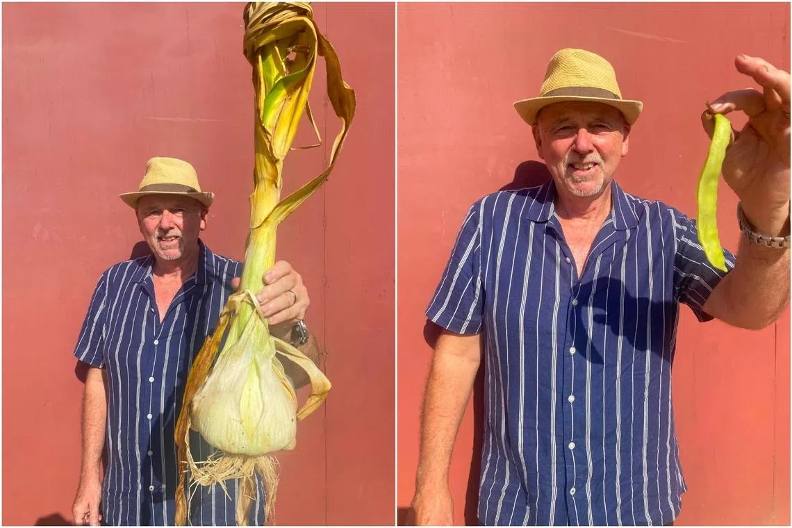 Watch out, vampires: British gardener sows and plants to 2 world records, including giant garlic