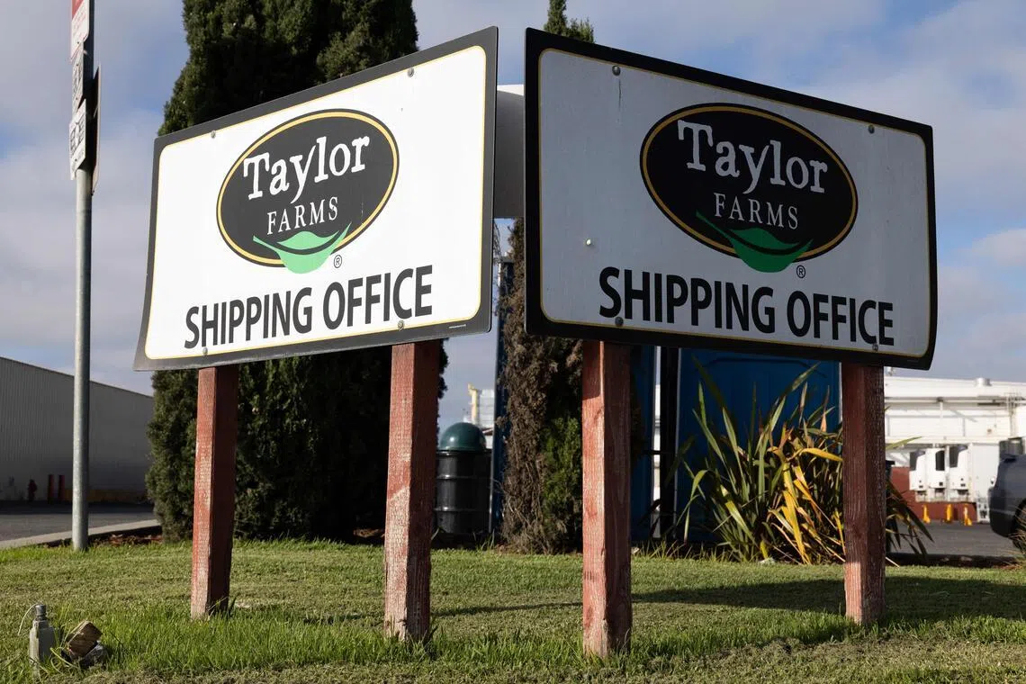 Taylor Farms iceberg lettuce sample tests positive for US parasite outbreak