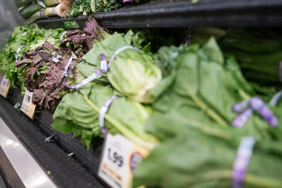 US diners avoid restaurants as cyclosporiasis outbreak cuts lettuce sales