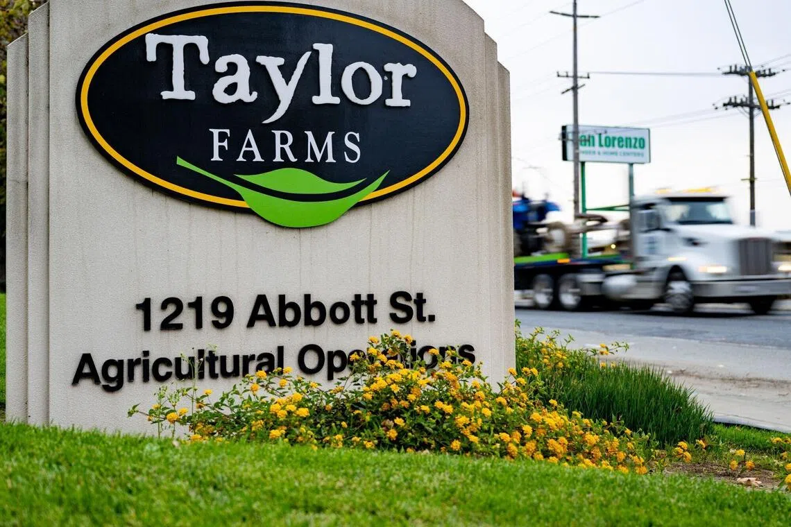 US Democrats link parasite outbreak to Trump ties with produce grower