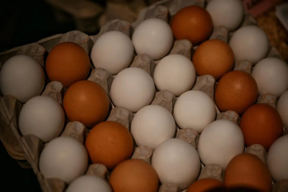 US says 19 million recalled eggs pose deadly risk