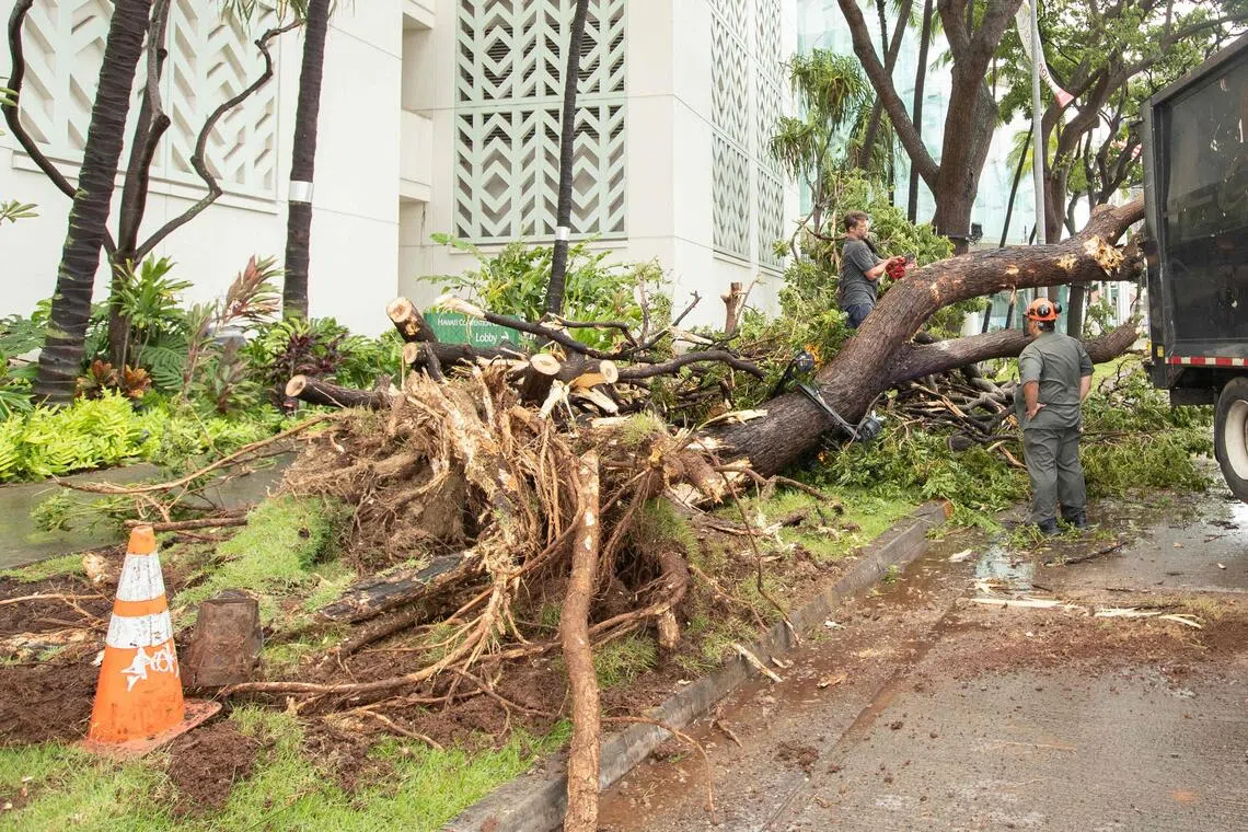 Hawaii's Big Island begins recovery after Hurricane Lala downgraded to tropical storm