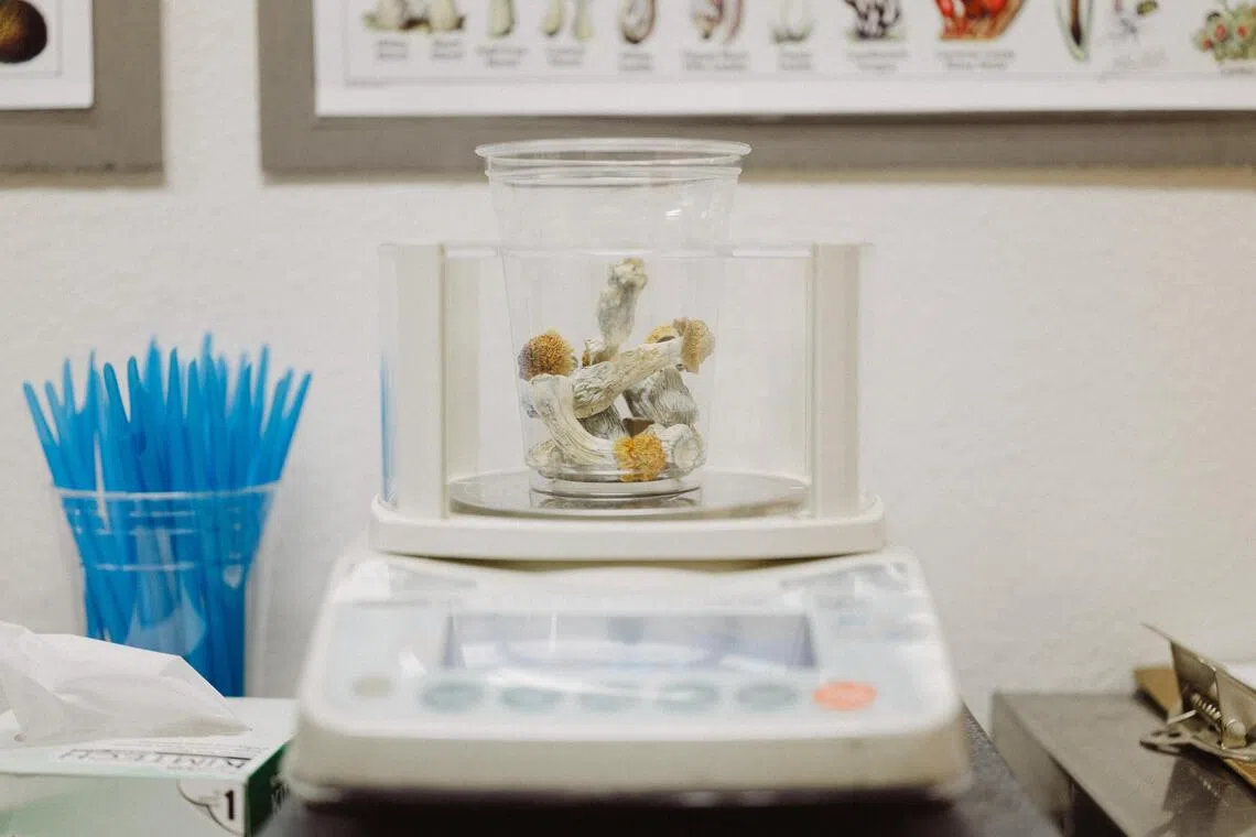 US study tests magic mushrooms’ psilocybin to fight cancer side effects