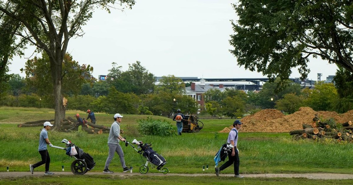 More than 500 trees to be cut down at DC golf course that Trump wants to redo
