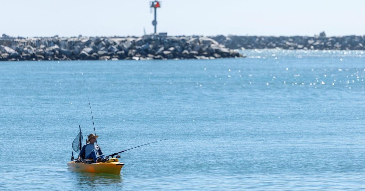 Exotic species appear off California thanks to an unusually strong El Nino