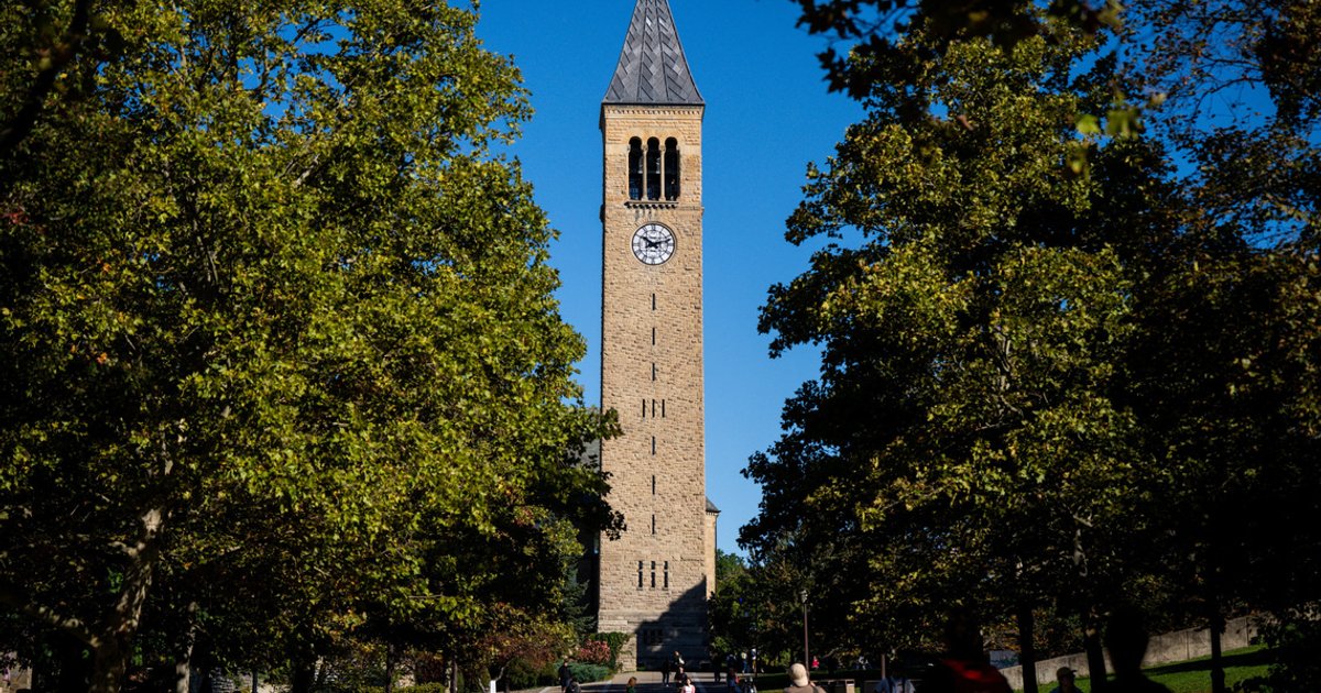 New York state police to take over sexual assault complaints at Cornell