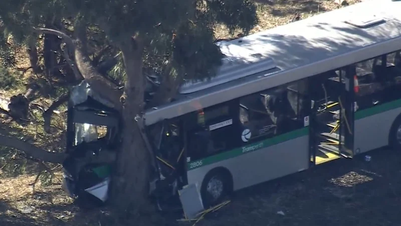 Man fighting for life and seven others injured after Perth bus crash