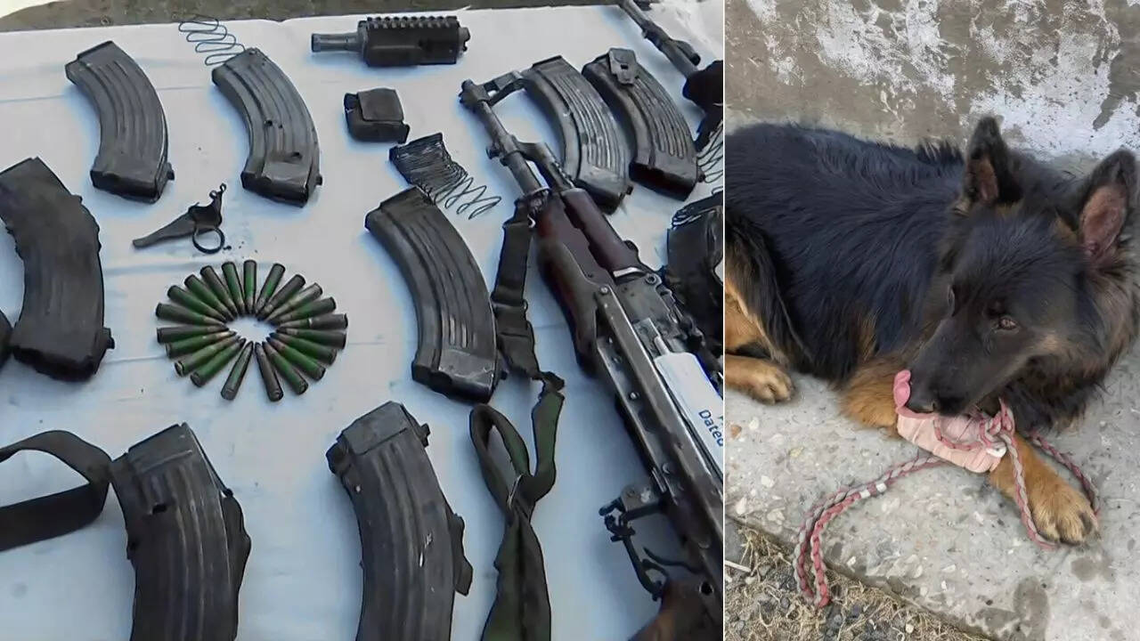 Tyson: 4-legged hero who led anti-terror op in J&K despite taking bulletA brave Army dog, Tyson, led the charge against terrorists in J&K's Kishtwar, sustaining a leg injury but enabling security forces to eliminate three Jaish-e-Mohammed militants. This success, 'Operation Trashi-1', highlights months of integrated planning and execution, neutralizing key leadership and showcasing remarkable inter-agency coordination.