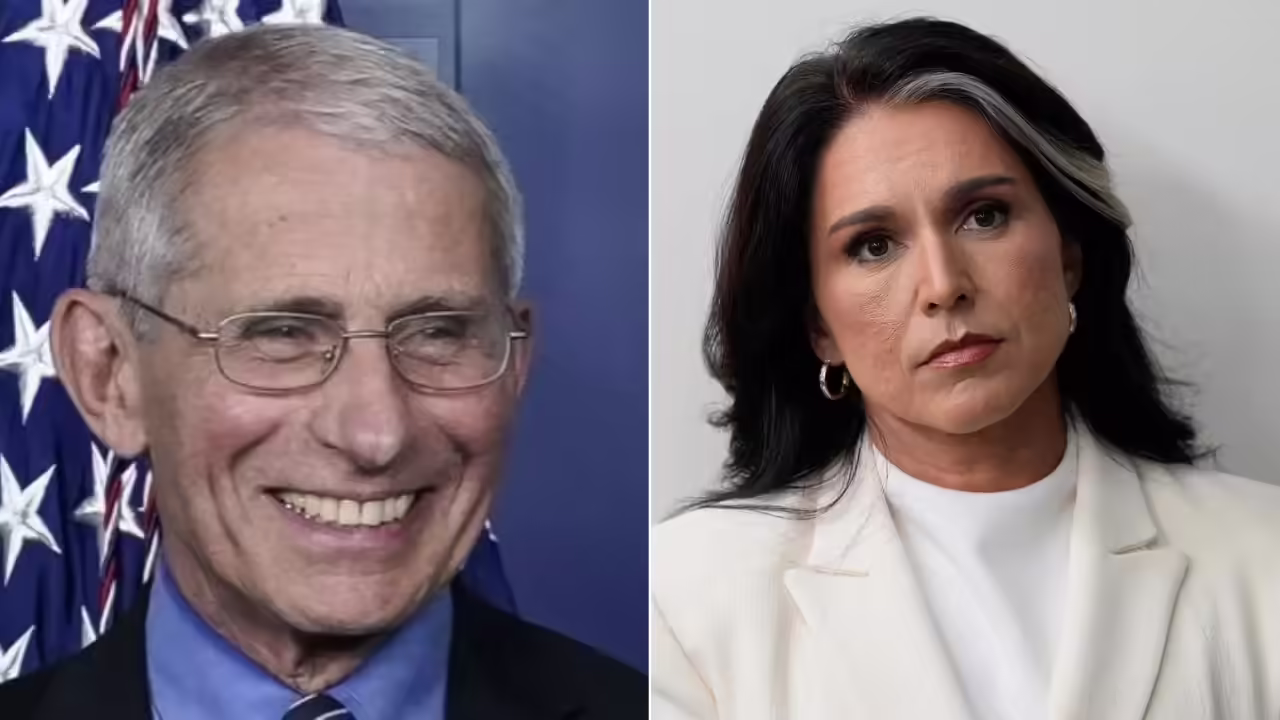 Tulsi Gabbard claims Biden aide funded Wuhan lab for Covid-19 assessment manipulation