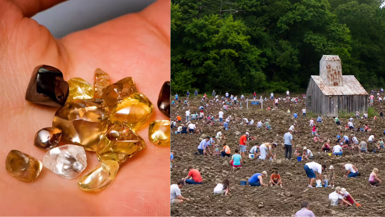 At US park, visitors keep over 37, 000 diamonds discovered since 1972