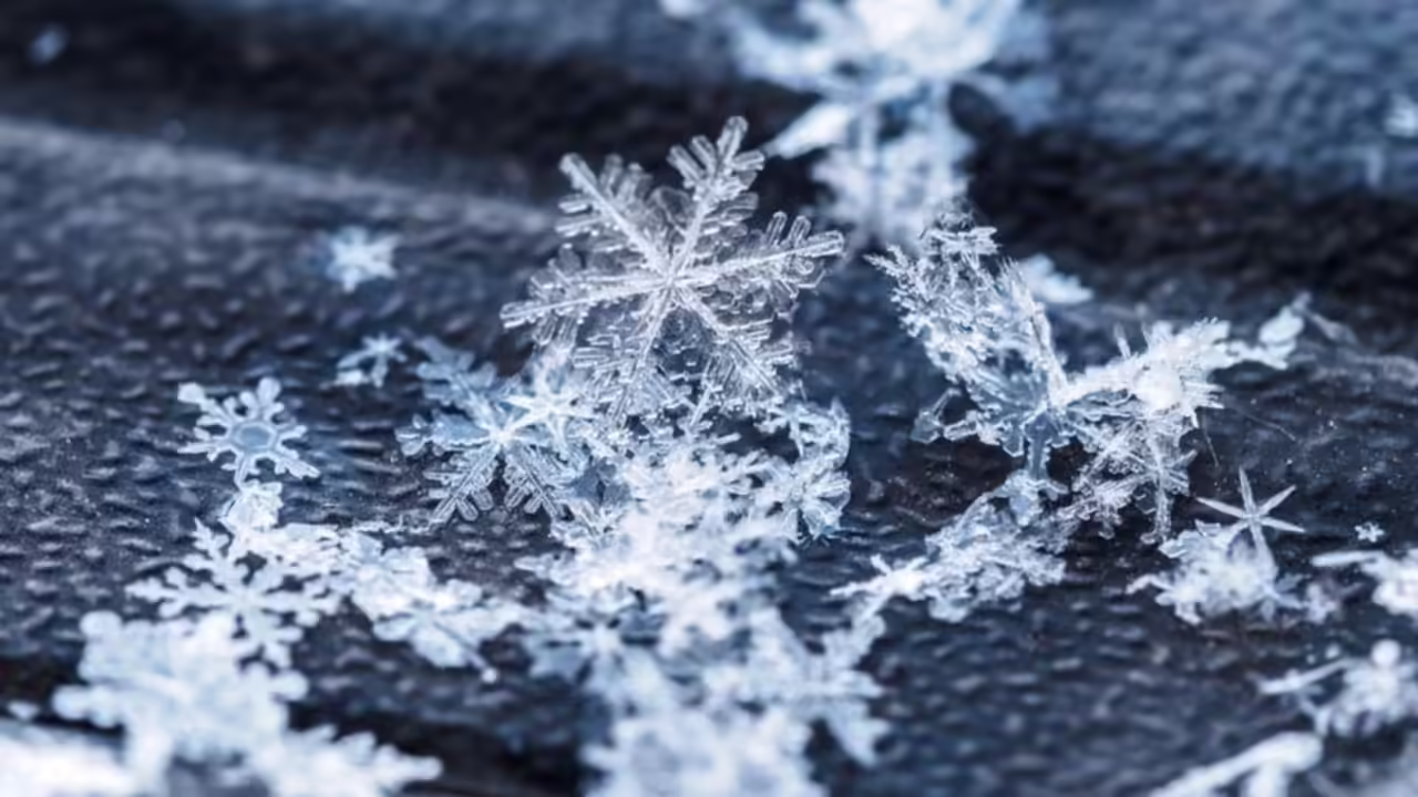 Canadian proverb of the day: 'No snowflake lands the same twice' — Even the smallest moments in life never repeat in the same way, no matter how similar they seem