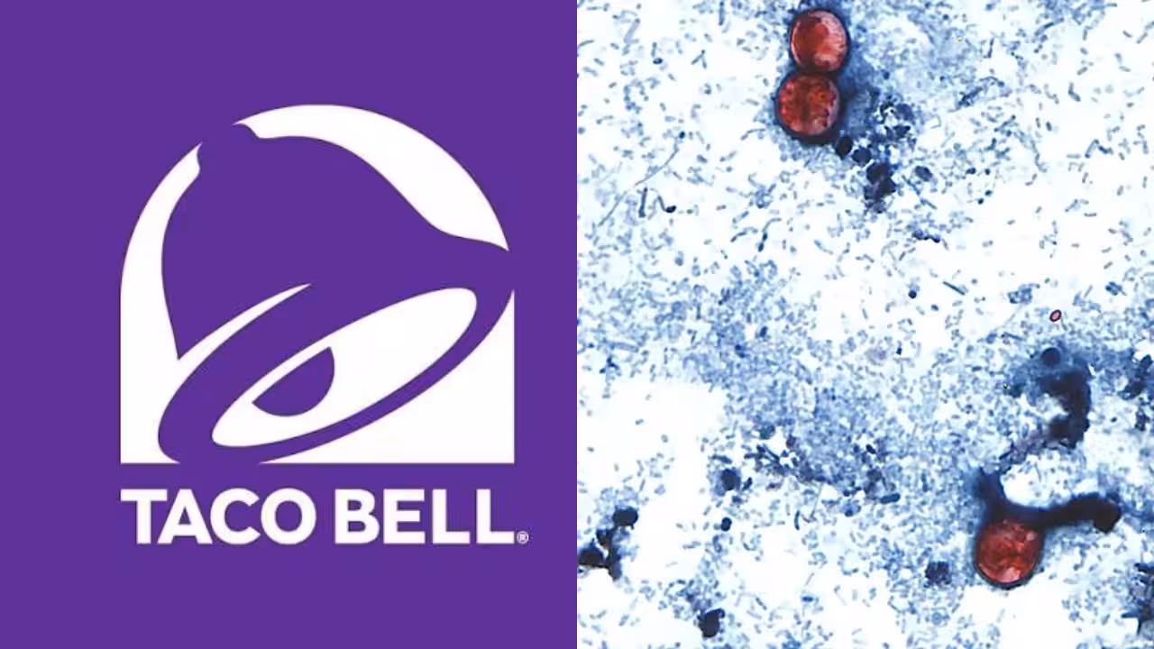 Taco Bell at centre of US Cyclospora outbreak probe; Taylor Farms lettuce under scanner