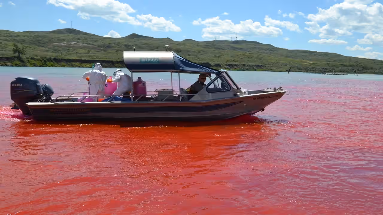 Alabama uses harmless dye in Fish River study to model pollution in Weeks Bay watershed