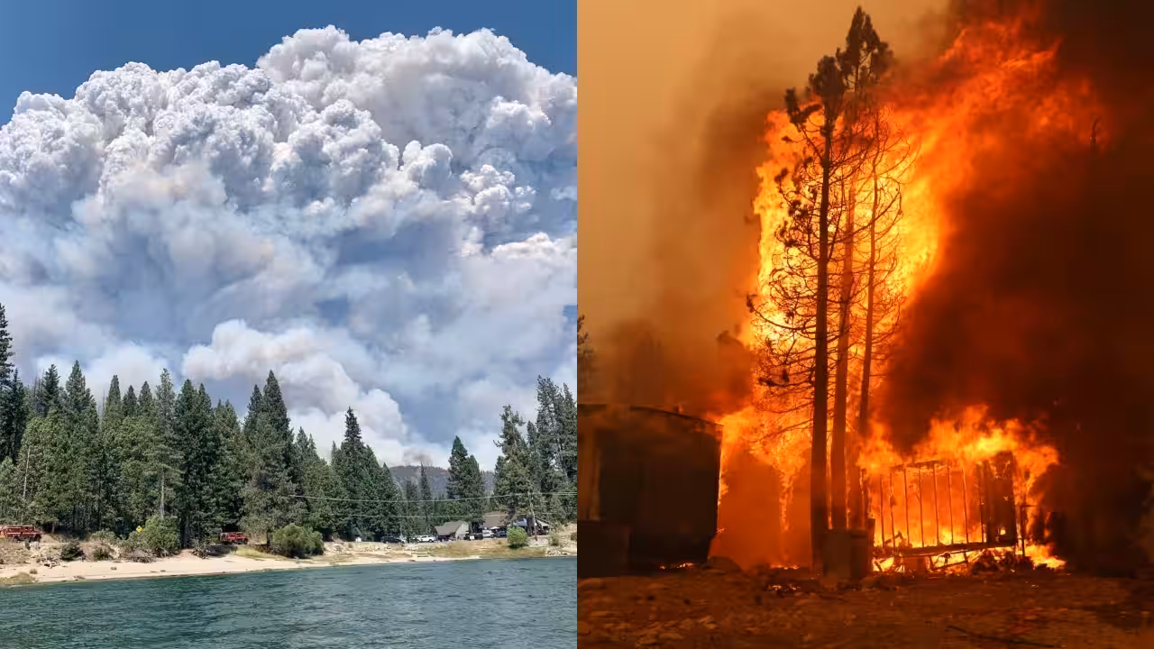 California homeowner and son saved house from Creek Fire in 2017