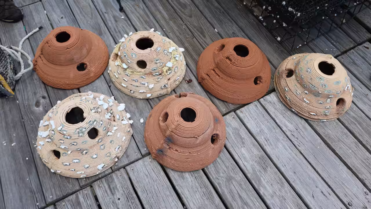 US engineers turn dredged river sediment into 3D-printed oyster reefs; six structures are now being tested in Mobile Bay