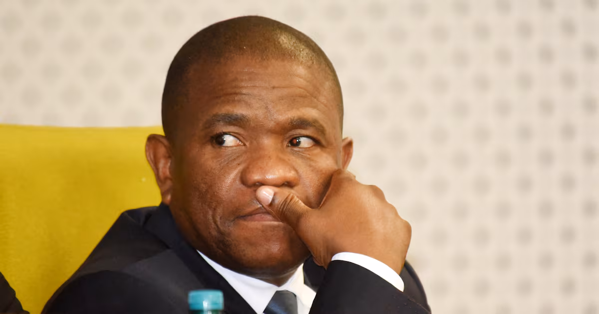 Mkhwanazi’s July 6 media briefing ― a year on