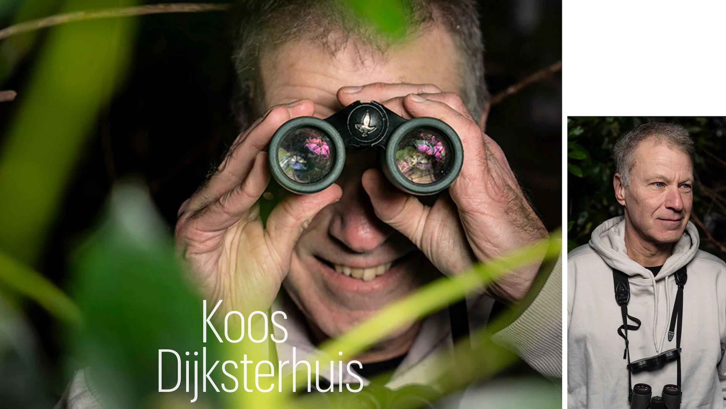 Nachtvlinders met klassieke belettering