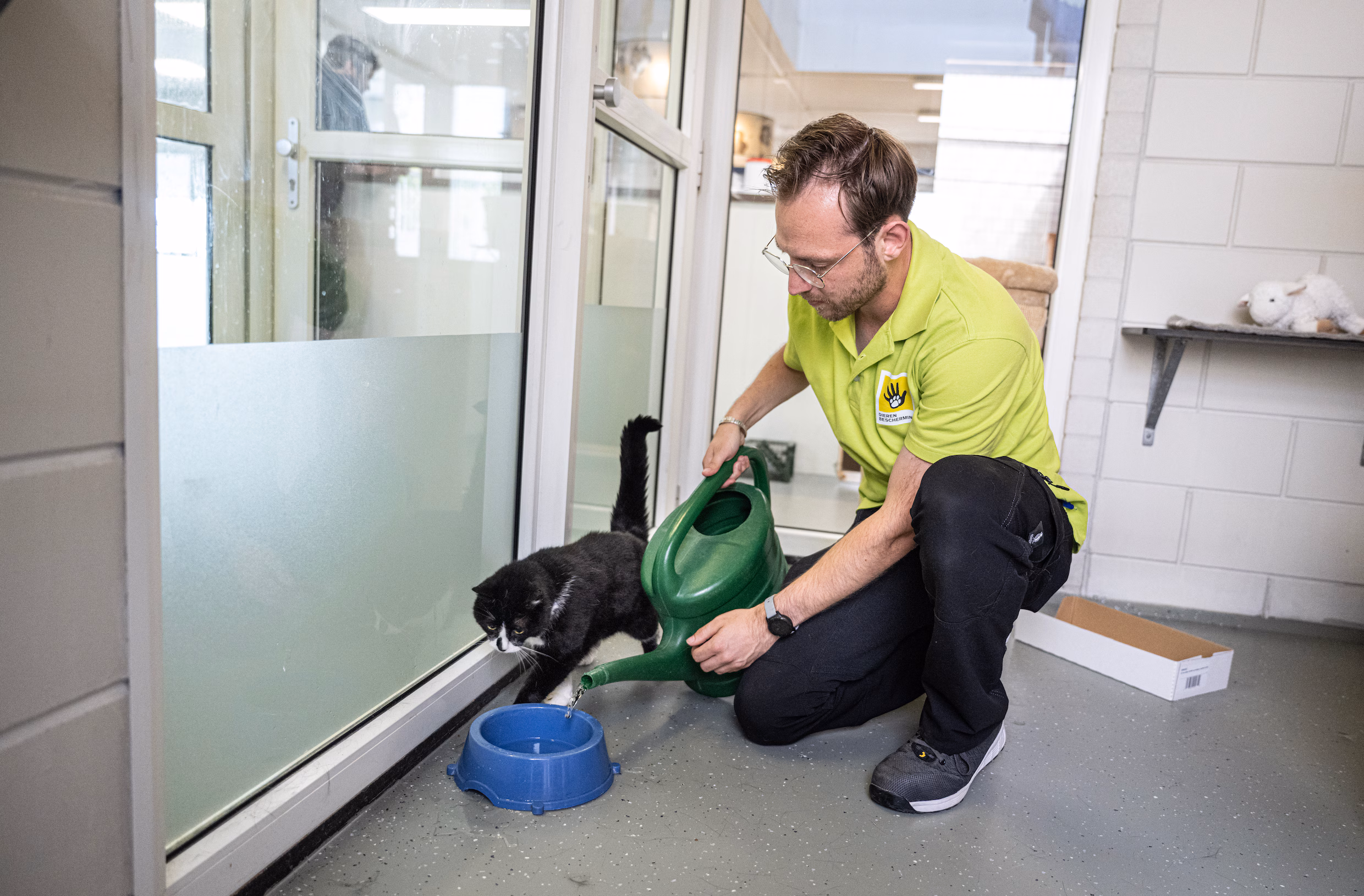 IJsjes voor de honden en icepacks voor de konijnen: het dierenasiel heeft de handen vol tijdens het tropische weer