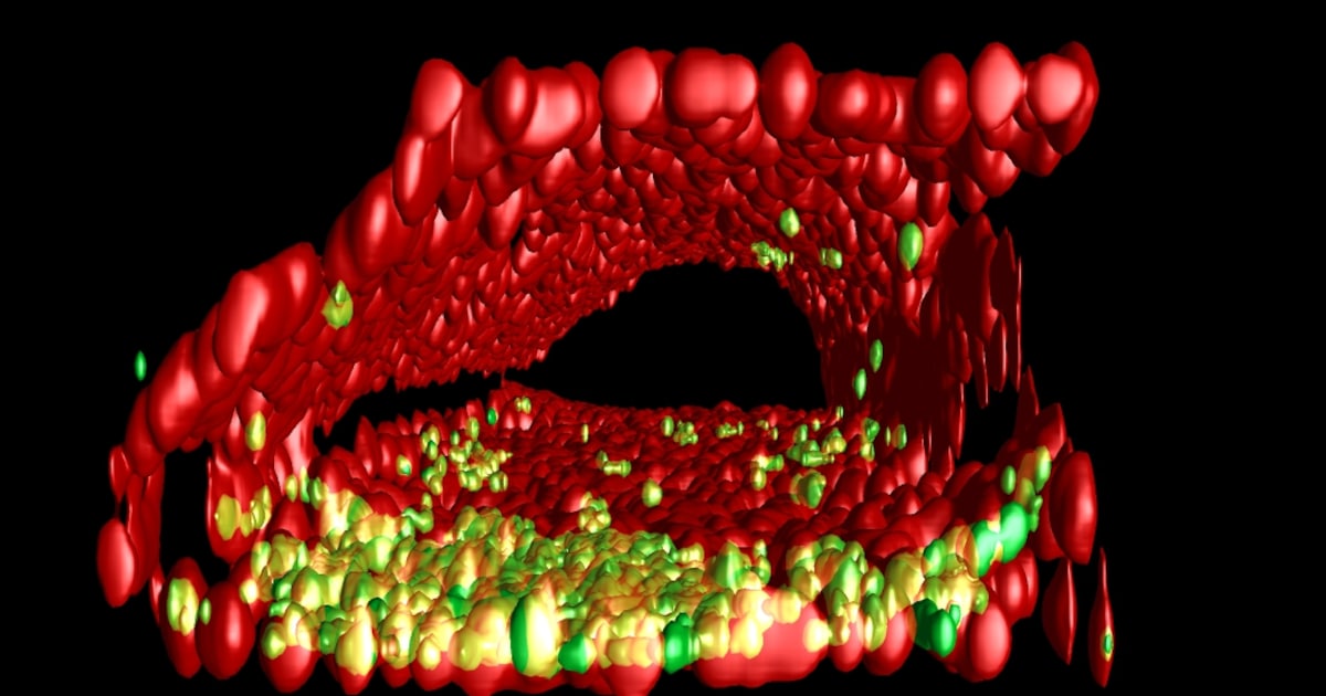 Bloedvat-op-een-chip versnelt onderzoek naar virussen