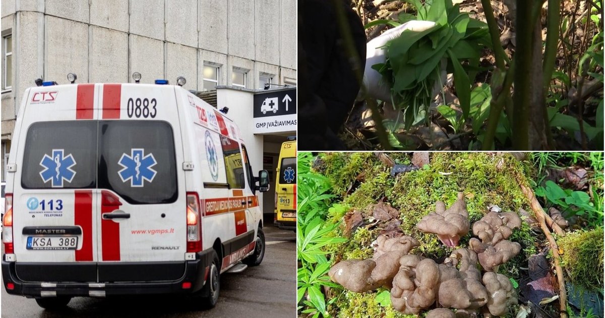 Įspėja lietuvius neskubėti rinkti šių gamtos gėrybių – vienas žingsnis iki mirties
