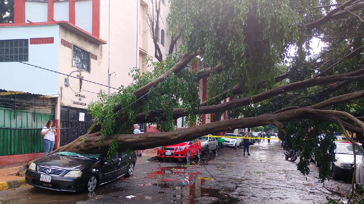 Árboles caídos, inundaciones y caos vial: el saldo de la tormenta en CDMX
