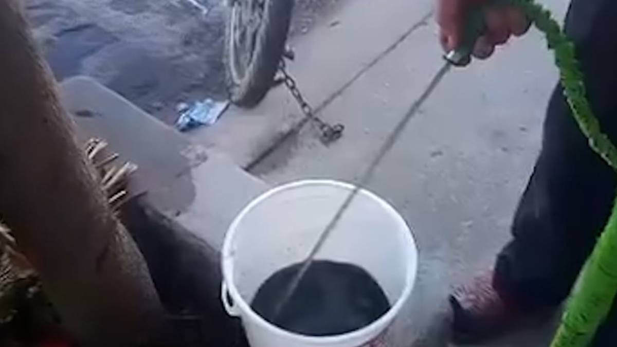 En plena justa mundialista, Zapopan sufre crisis de agua turbia en los hogares
